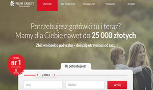 www.proficredit.pl